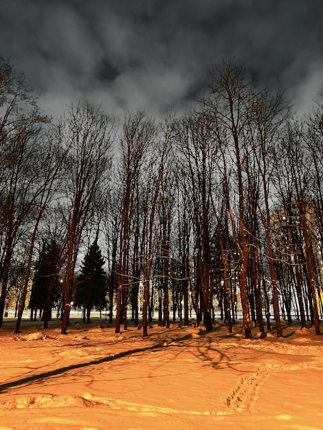 Parque de invierno en la nieve con una hilera de árboles a través de los cuales se ilumina la calle de la ciudad