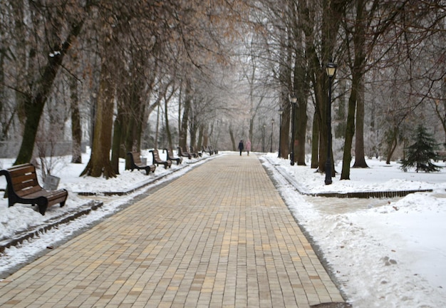 Parque de invierno vacío