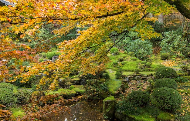 Parque japonês no outono