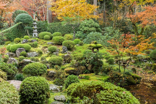 Parque japonés de otoño