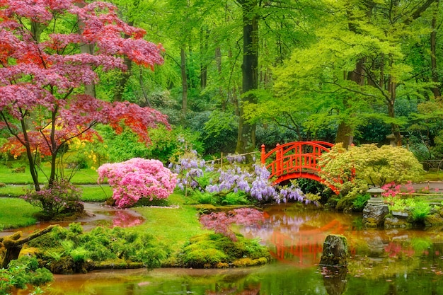 Parque jardín japonés de clingendael, la haya, países bajos