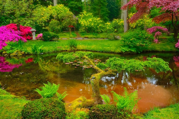 Parque jardín japonés de clingendael, la haya, países bajos