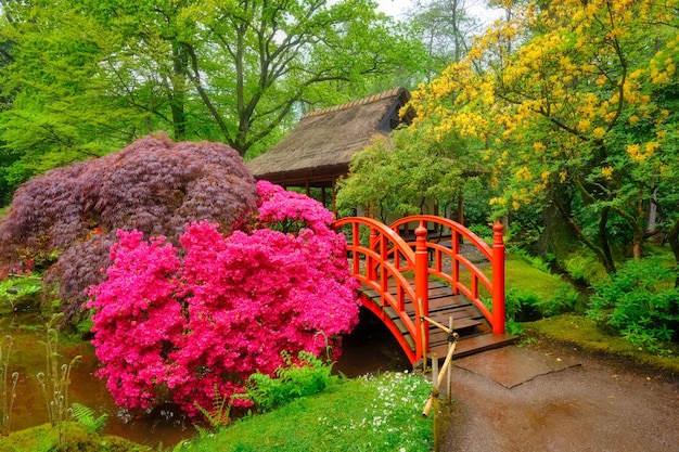 Parque jardín japonés de clingendael, la haya, países bajos