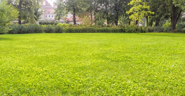 Parque de los jardines bernardine en el centro de vilnius