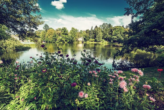 Parque Lazienki en Varsovia