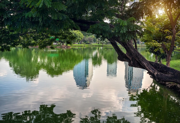 Parque Lumpini y rascacielos en Bangkok