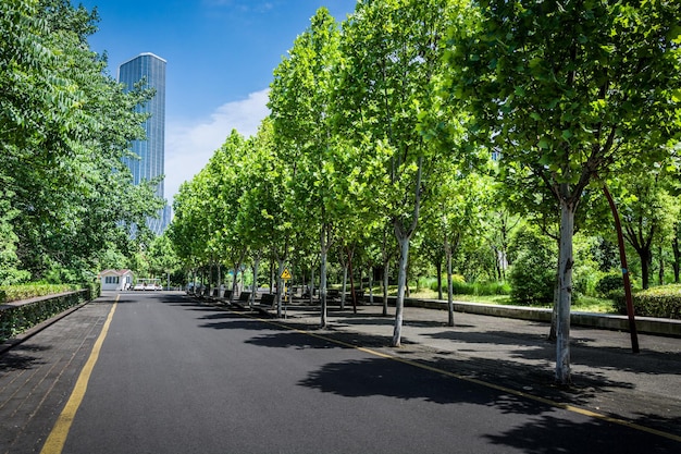 Parque moderno da cidade durante o dia ajardinado com vegetação