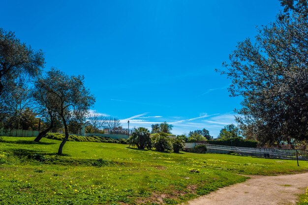El parque de Monserrato Sassari en un día soleado