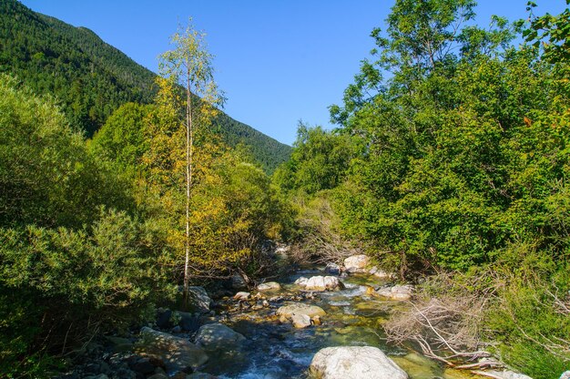 parque nacional de aigüestortes