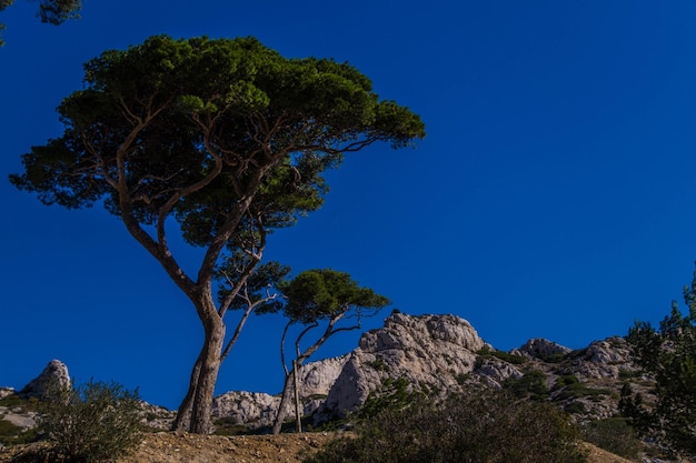 parque nacional calanques