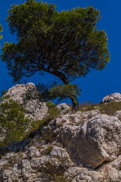 parque nacional calanques