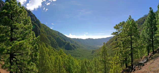 Parque Nacional Caldera La Palma Ilhas Canárias Espanha