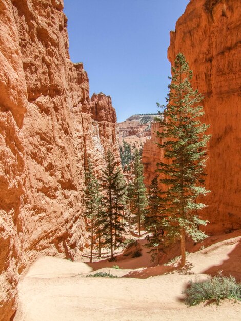 El Parque Nacional del Cañón Bryce