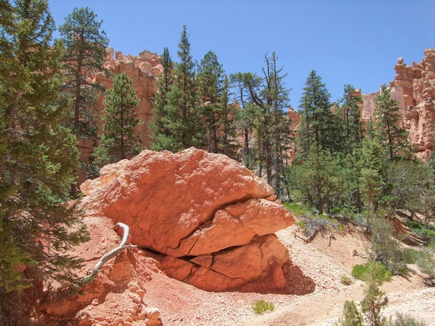 El Parque Nacional del Cañón Bryce