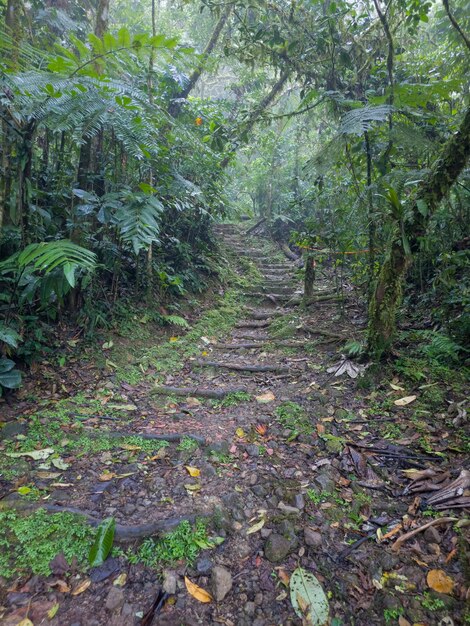 Foto parque nacional cerro gaital vale de anton, no panamá