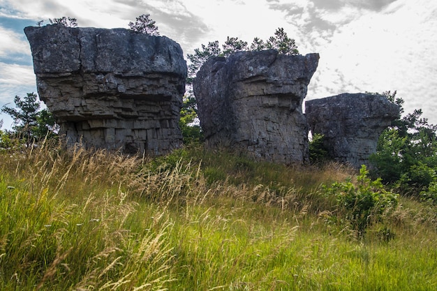 parque nacional de cevennes