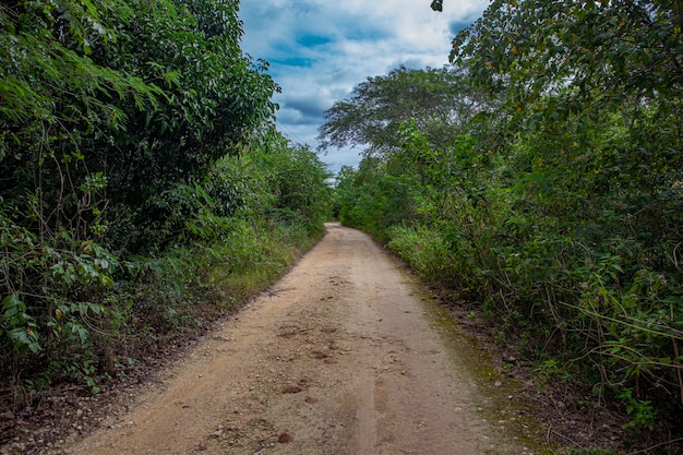 Parque Nacional Cotubanama en República Dominicana, Sección Padre Nuestro con vegetación típica en el interior y canteras como la Cueva de Padre Nuestro y la Cueva del Chico