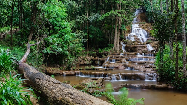 Parque nacional da cachoeira Pha Charoen, Mae Sot, província de Tak, Tailândia
