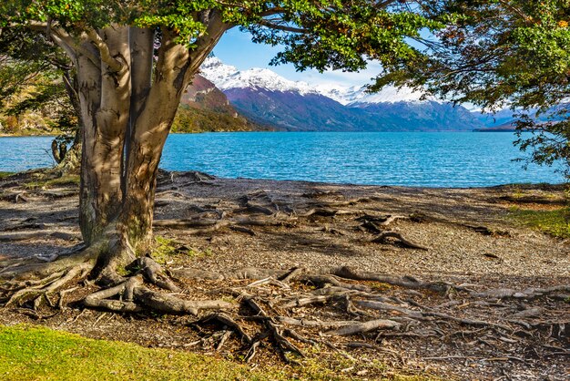 Parque Nacional da Terra do Fogo, Patagônia, Argentina