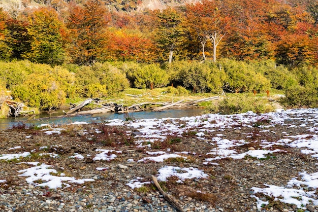 Parque Nacional da Terra do Fogo, Patagônia, Argentina