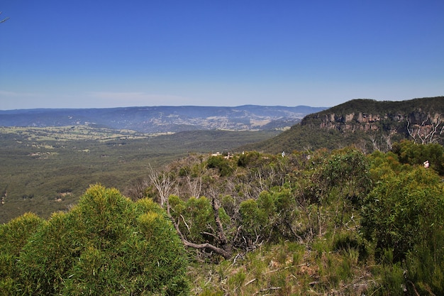 Parque nacional das montanhas azuis, austrália