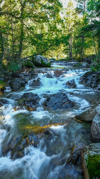 Foto parque nacional de aiguestortes catalunha espanha europa