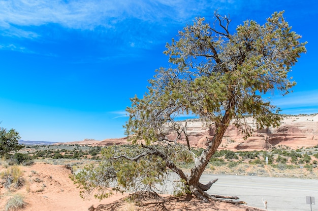 Parque Nacional de Canyonlands, EUA