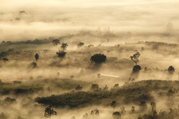 Parque nacional de phu langka, na província de phayao