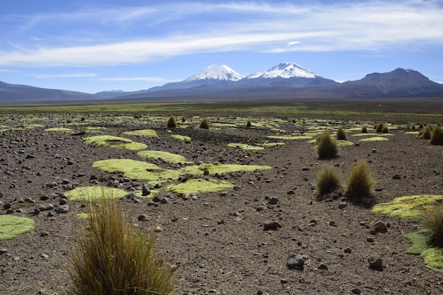Parque Nacional de Sajama cercado por montanhas cobertas de neve com nuvens negras cercadas por vegetação seca Bolívia