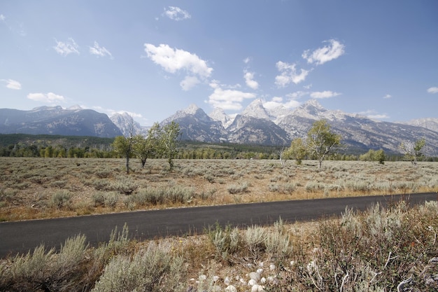 Parque Nacional de Yellowstone em Wyoming EUA