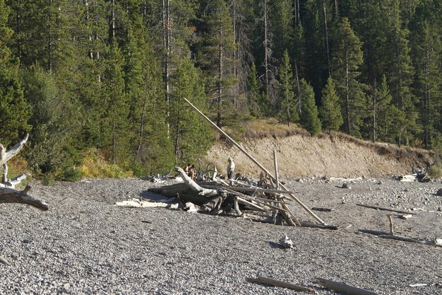 Parque Nacional de Yellowstone em Wyoming EUA