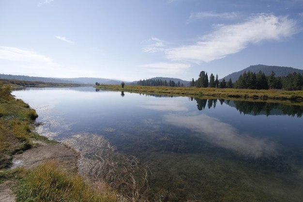 Foto parque nacional de yellowstone em wyoming eua