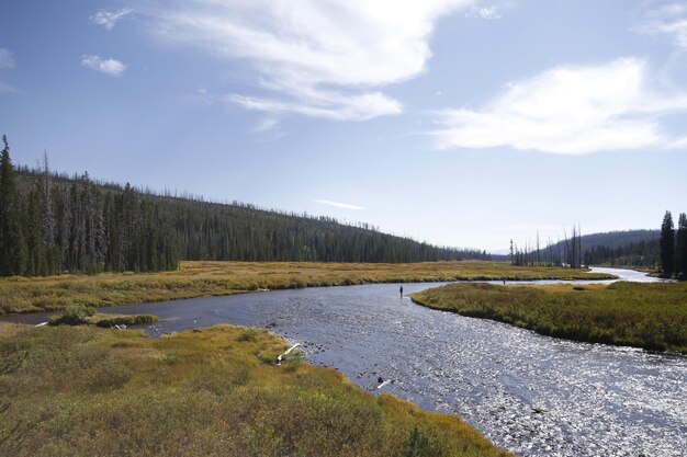 Parque Nacional de Yellowstone em Wyoming EUA