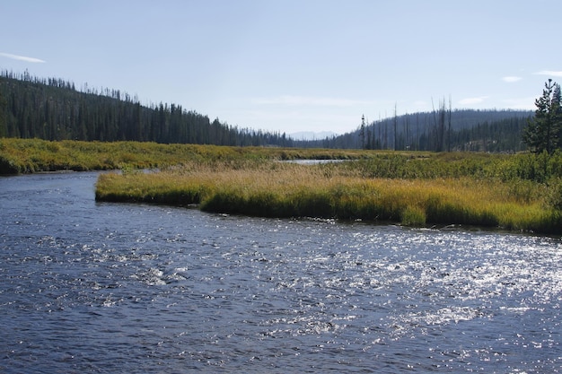 Parque Nacional de Yellowstone em Wyoming EUA