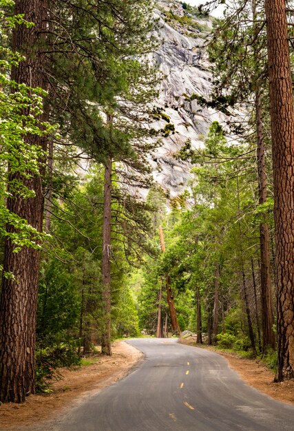 Foto parque nacional de yosemite, califórnia, eua um dos lugares mais famosos para visitar