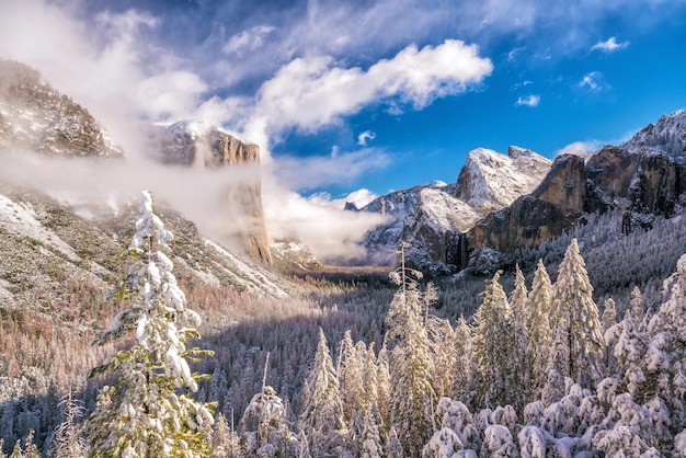 Parque Nacional de Yosemite no inverno