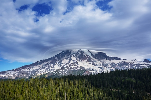 Parque Nacional do Monte Rainier, Washington