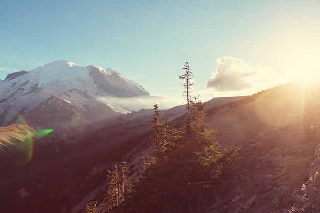 Parque Nacional do Monte Rainier, Washington