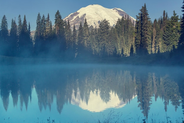 Parque Nacional do Monte Rainier, Washington