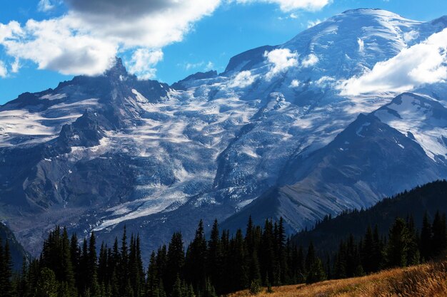 Parque Nacional do Monte Rainier, Washington