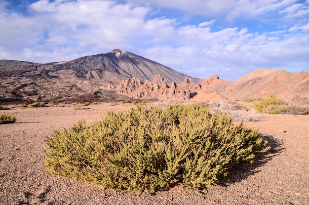 Parque Nacional do Teide