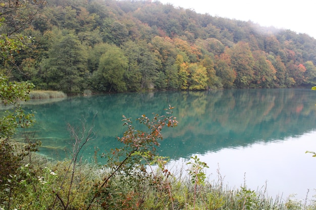 Parque nacional dos lagos plitvice (plitvička jezera)