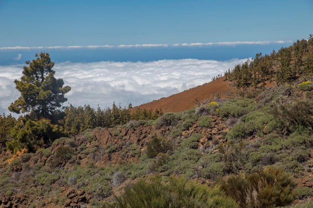 Parque Nacional El Teide