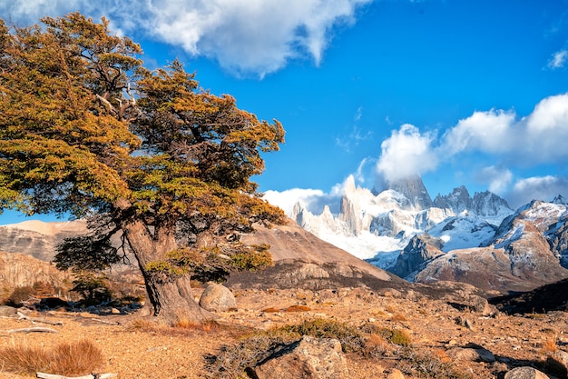 Parque Nacional Los Glaciares, provincia de Santa Cruz, Patagonia, Argentina, monte Fitz Roy.