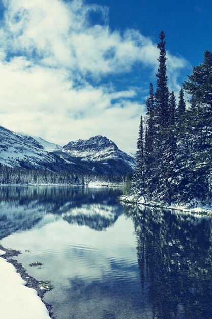 Parque Nacional Glacier, Montana, Estados Unidos