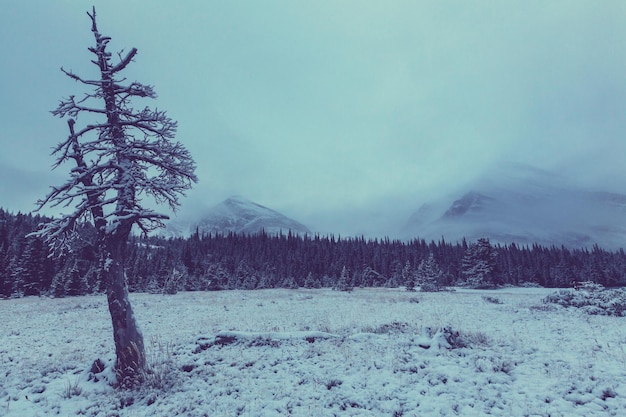 Parque Nacional Glacier, Montana. Invierno.