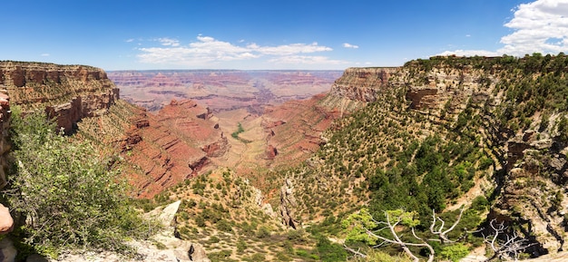 Parque Nacional del Gran Cañón naturaleza salvaje