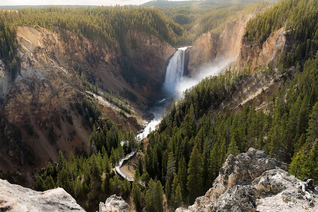 Foto parque nacional del gran cañón de yellowstone