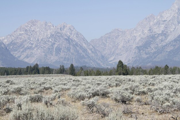 Parque Nacional Grand Teton em Wyoming EUA