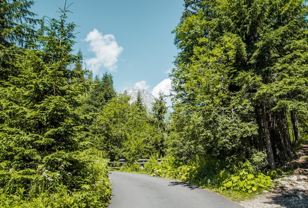 Parque Nacional High Tatras, Eslováquia, Europa. Caminho de caminhada para o lago de montanha Batizovske pleso e Sliez